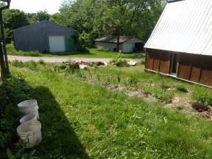 The garden, after Celeste.